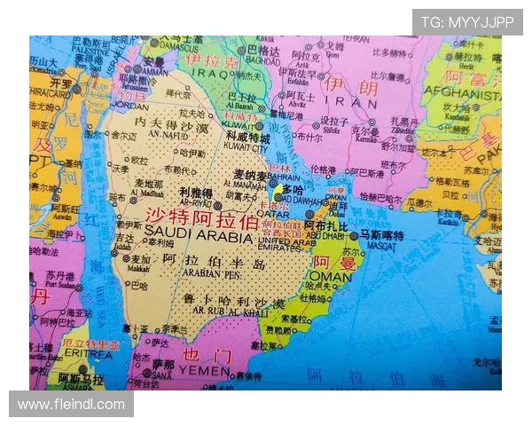 伊朗对阵埃及的世界杯比赛将在卡塔尔多哈举行，详细比赛场馆和城市信息介绍